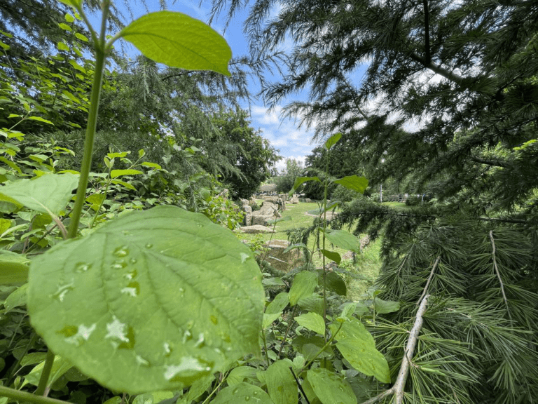 ZOO PRAHA